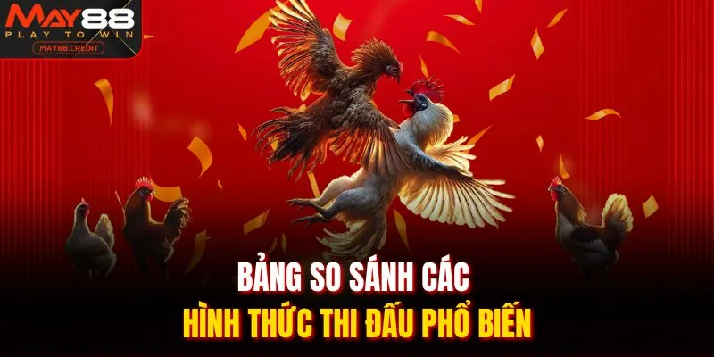 Bảng so sánh các hình thức thi đấu phổ biến