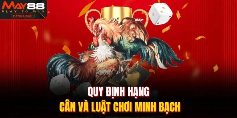 Quy định hạng cân và luật chơi minh bạch