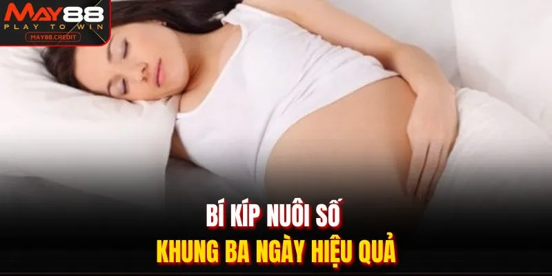 Bí kíp nuôi số khung ba ngày hiệu quả
