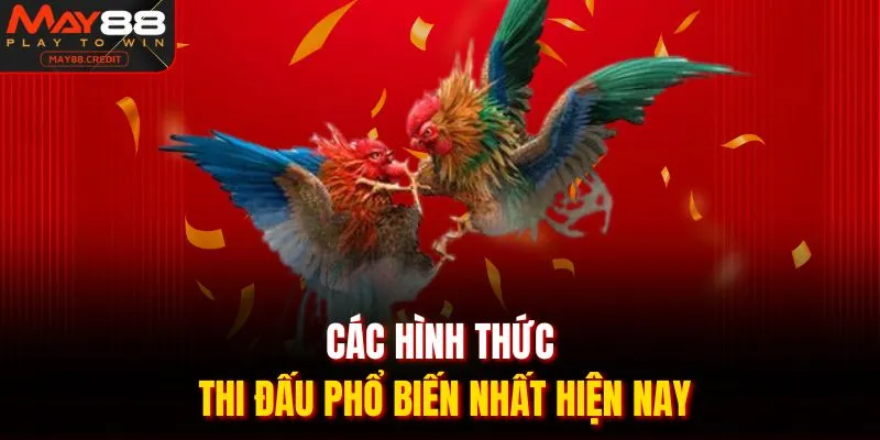Các hình thức thi đấu phổ biến nhất hiện nay
