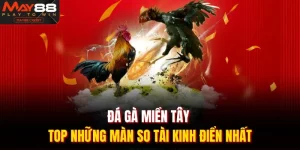 Đá gà miền tây