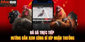 Đá gà trực tiếp