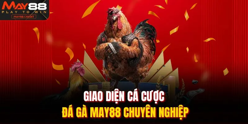 Giao diện cá cược đá gà May88 chuyên nghiệp