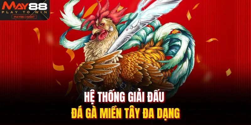 Hệ thống giải đấu đá gà miền tây đa dạng