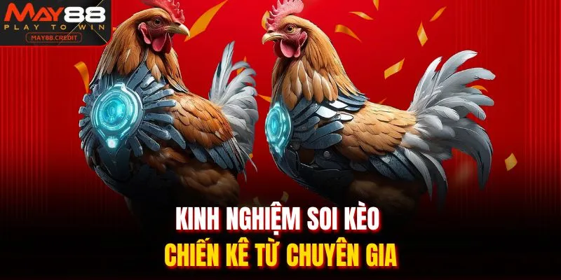 Kinh nghiệm soi kèo chiến kê từ chuyên gia