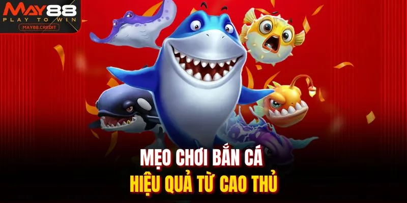 Mẹo chơi bắn cá hiệu quả từ cao thủ