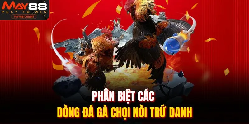 Phân biệt các dòng đá gà chọi nòi trứ danh