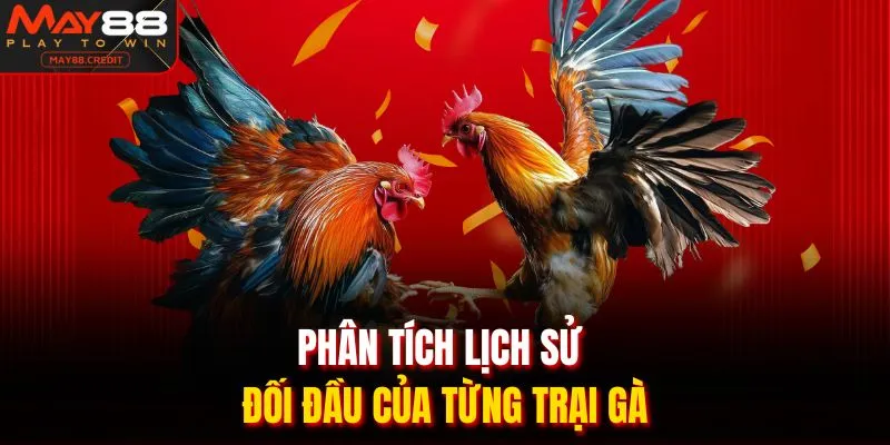 Phân tích lịch sử đối đầu của từng trại gà